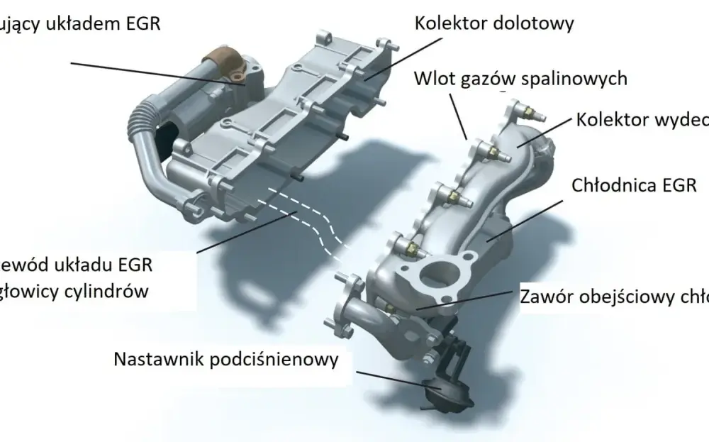 Zawór EGR Ford: Objawy, naprawa, koszty. Czy zaślepiać?
