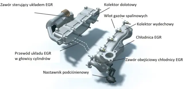 Zawór EGR Ford: Objawy, naprawa, koszty. Czy zaślepiać?